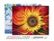 Figured'Art Paint by Numbers for Adults with Frame Red Sunflower 16"x20" - Craft Art Painting DIY Kit Canvas Already Stretched on a Wooden Frame